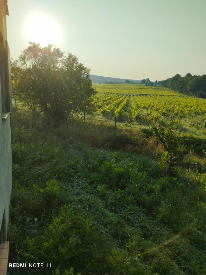 Chambre D Hotes En Provence, Au Pied Du Luberon, Les Coquelicots La Tour-dʼAigues Екстериор снимка
